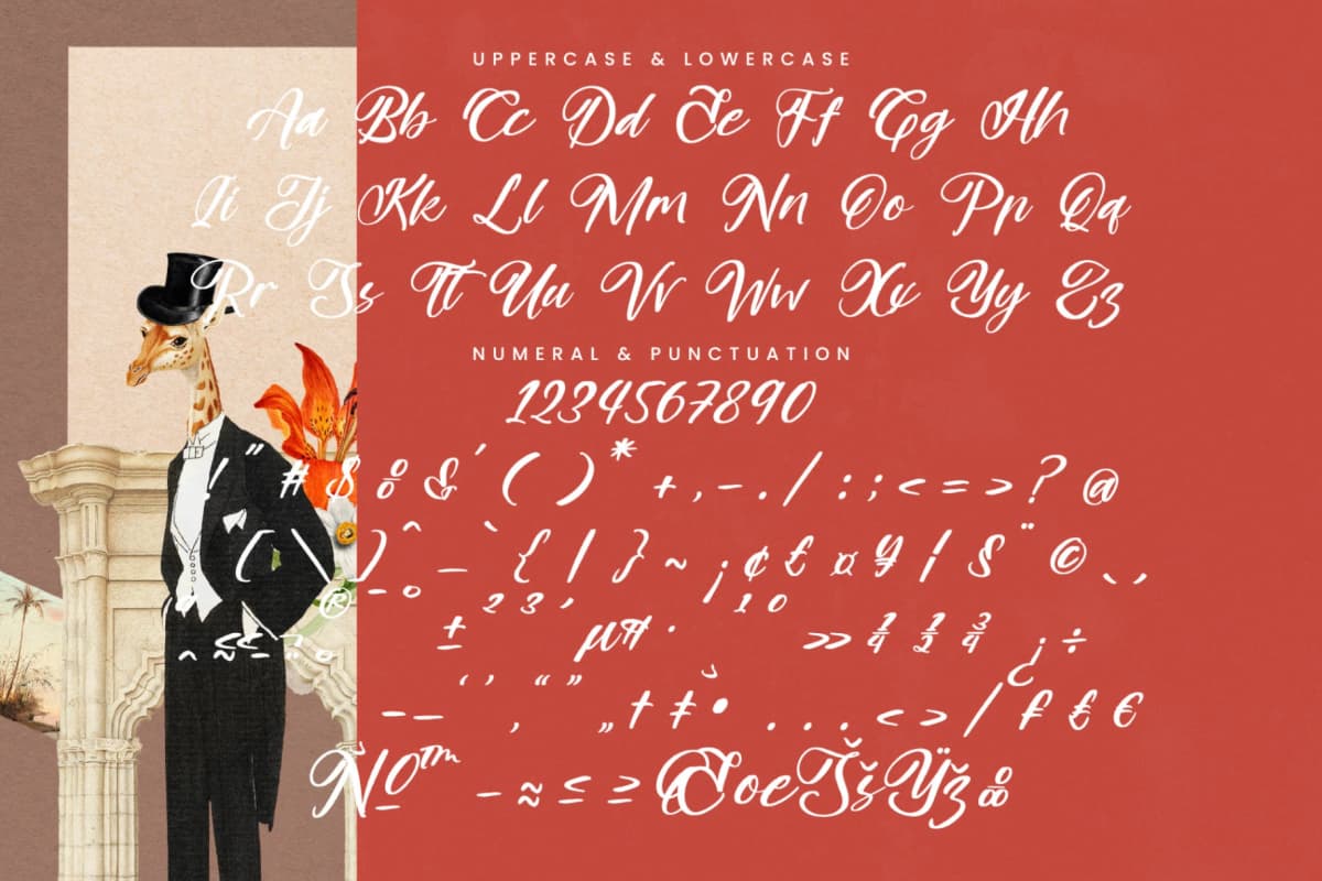 Blakely Quincy - Bold Handbrush Script font preview 18