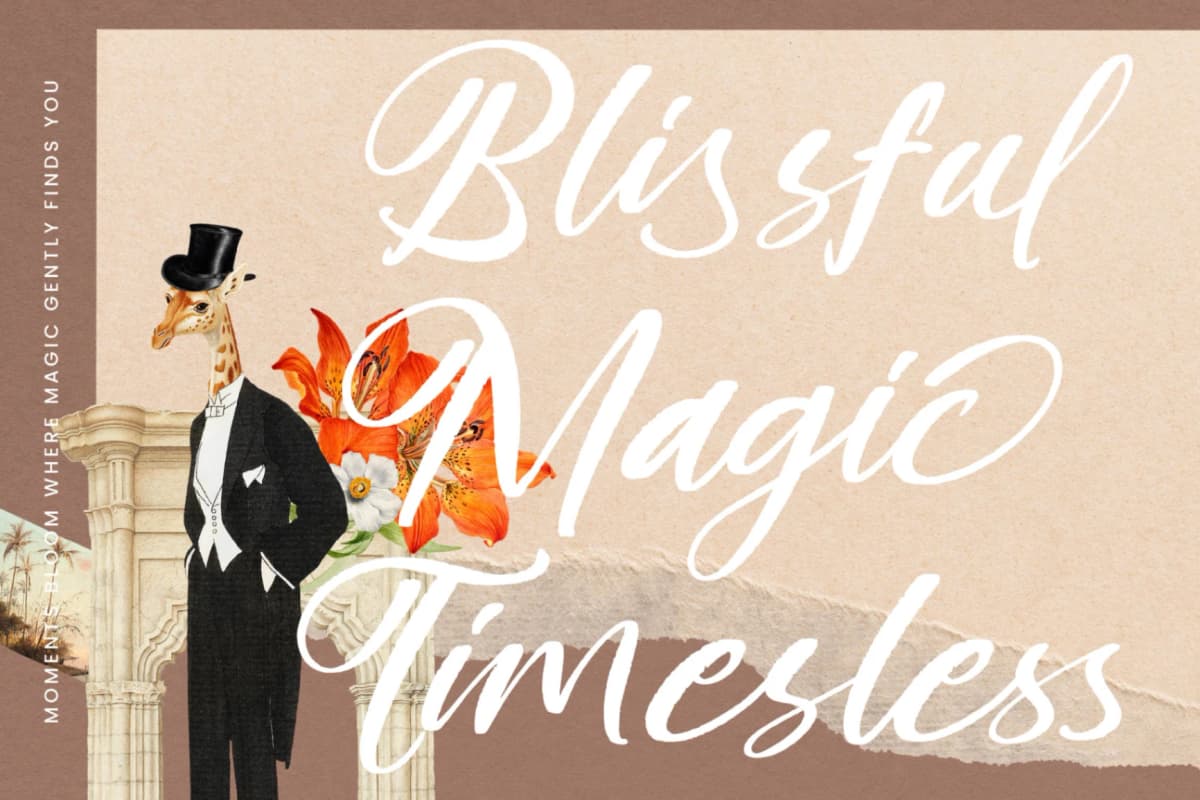 Blakely Quincy - Bold Handbrush Script font preview 3