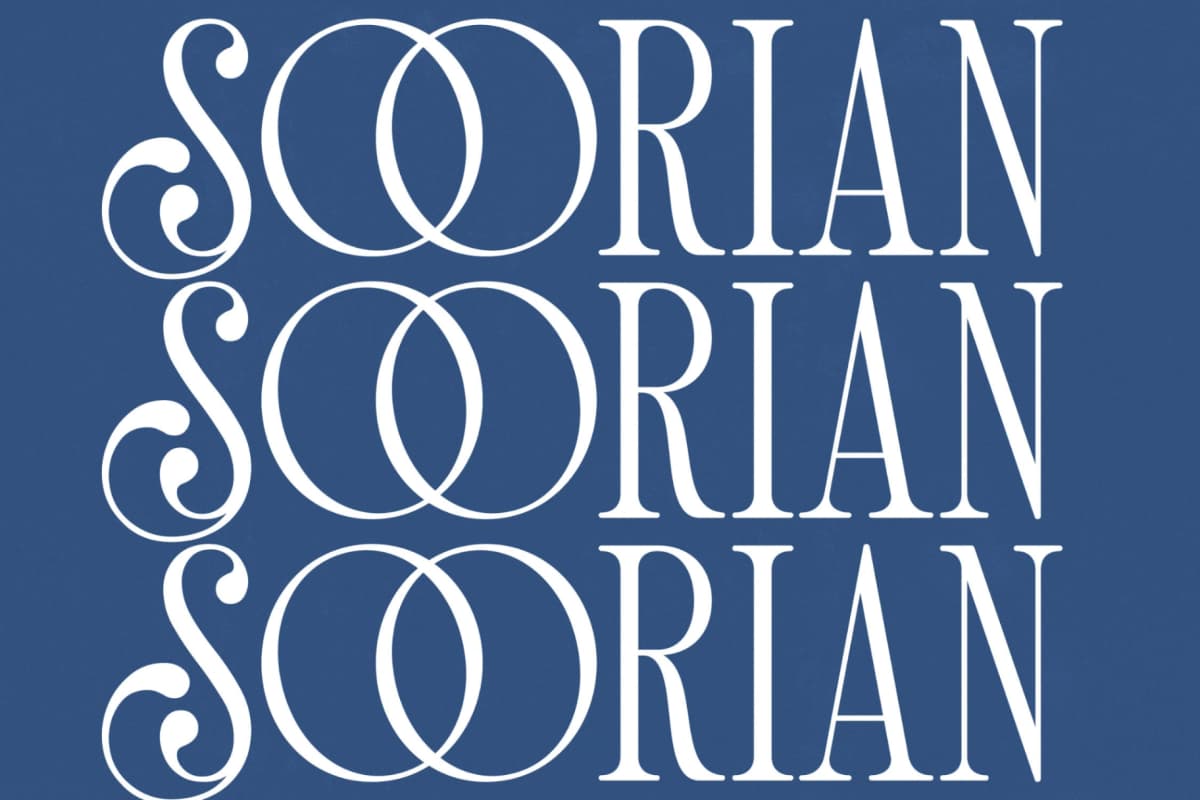 Preview 9 for Salgirfen - New Modern Serif Font