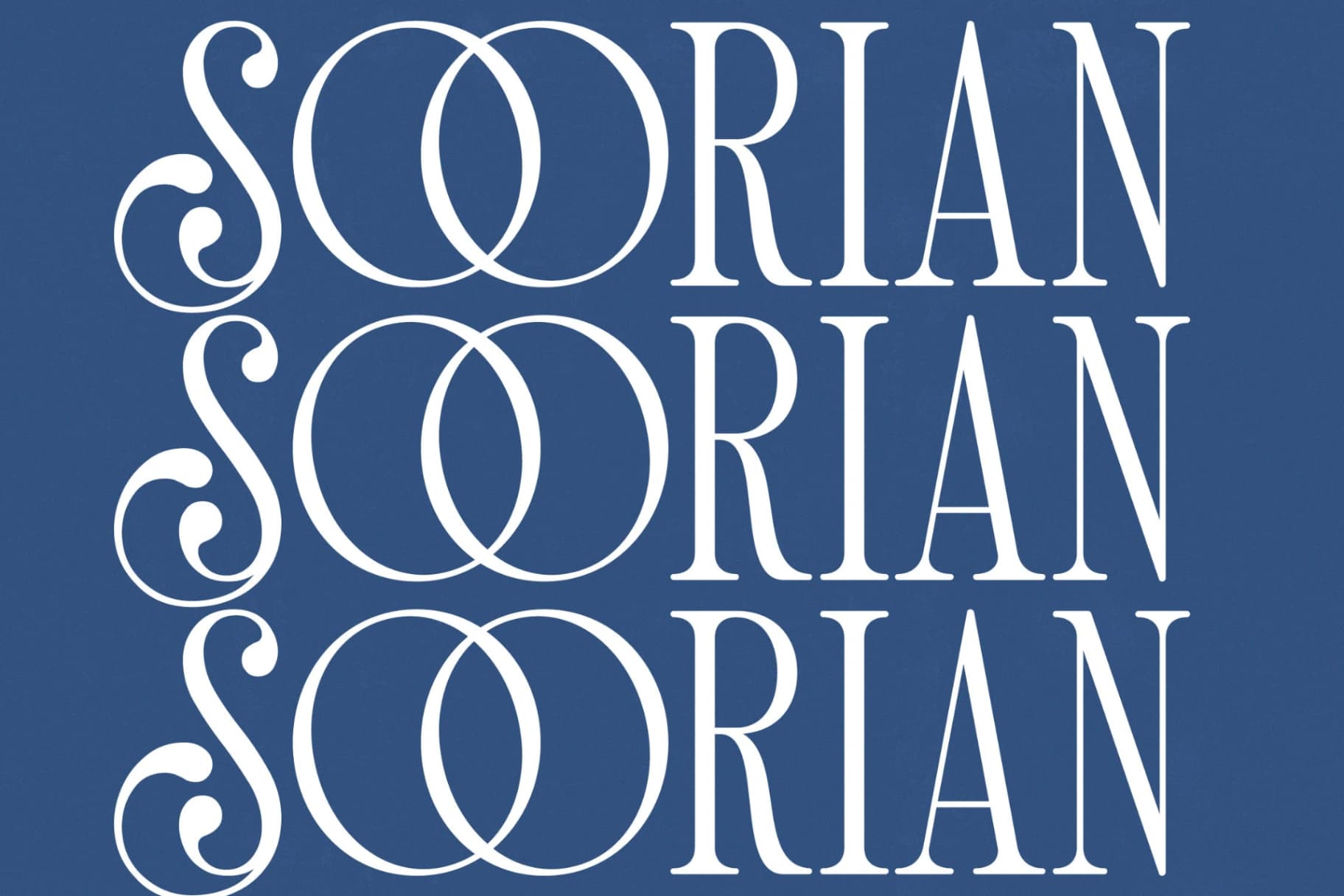 Preview 9 for Salgirfen - New Modern Serif Font