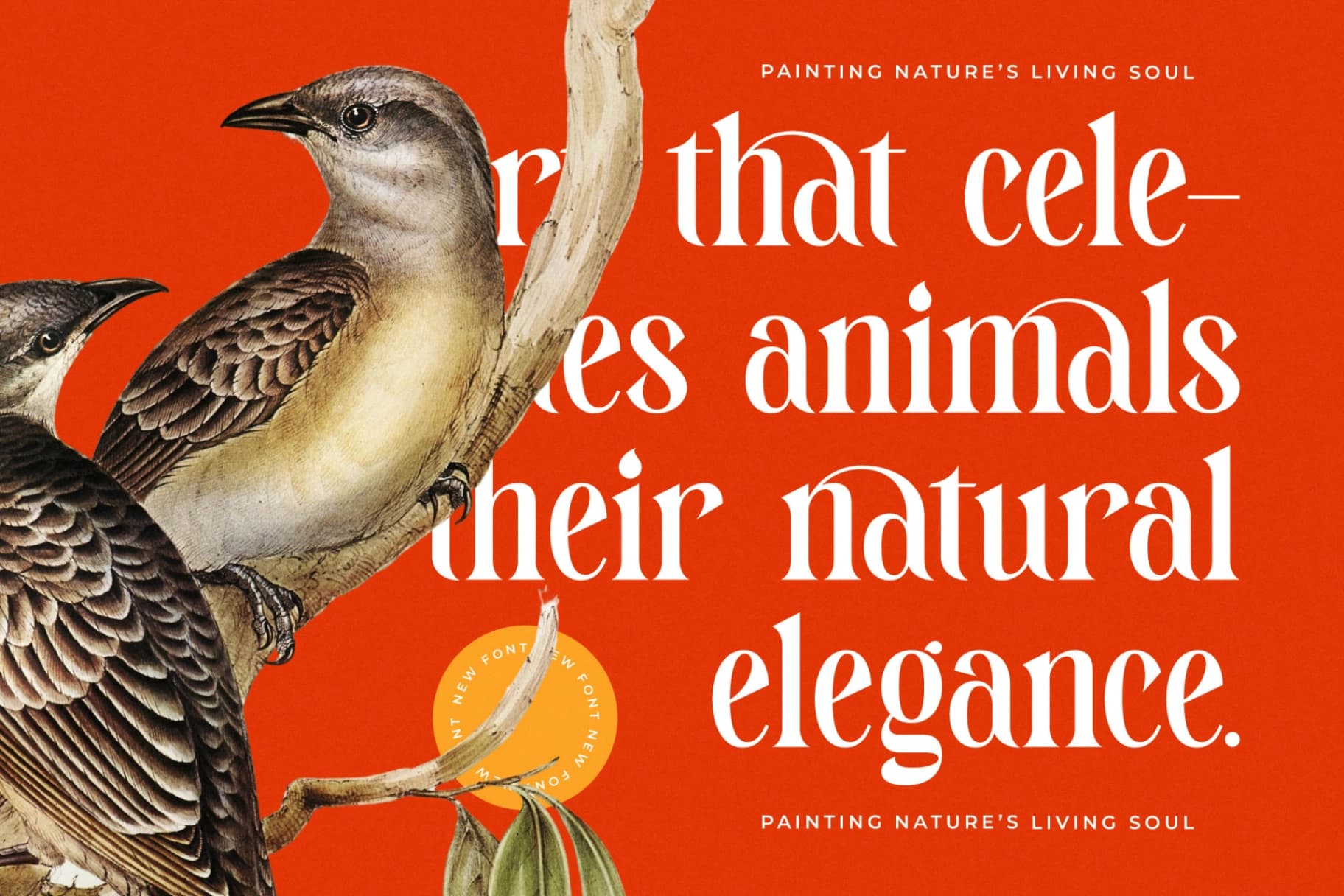 Preview 11 for Magitals Glowing - New Modern Serif Font