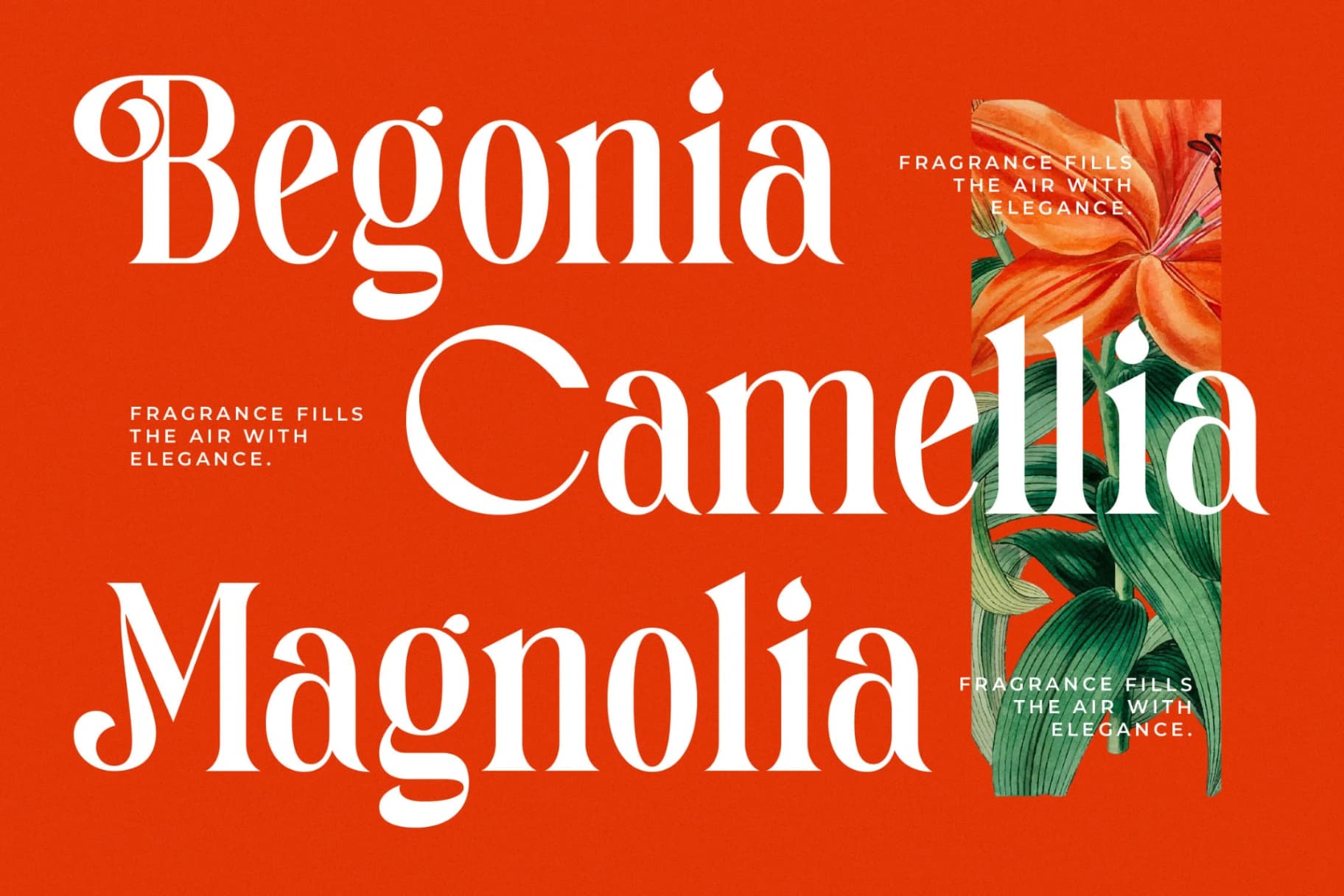 Preview 8 for Magitals Glowing - New Modern Serif Font