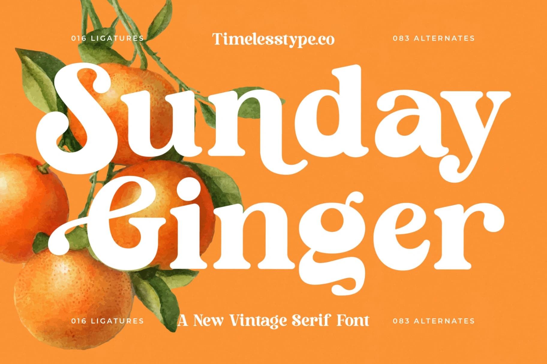 Preview of Sunday Ginger - New Vintage Serif Font font