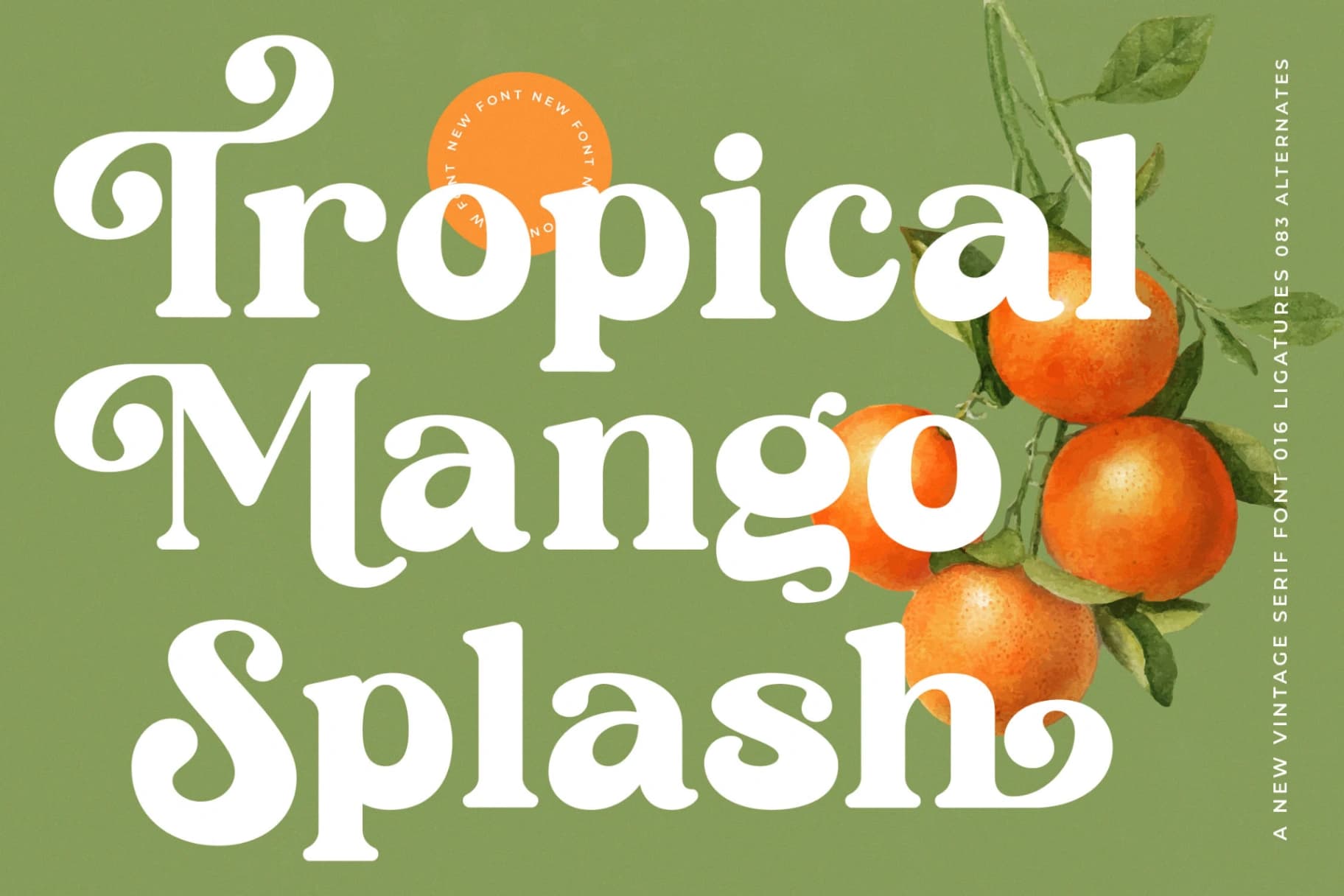 Preview 4 for Sunday Ginger - New Vintage Serif Font