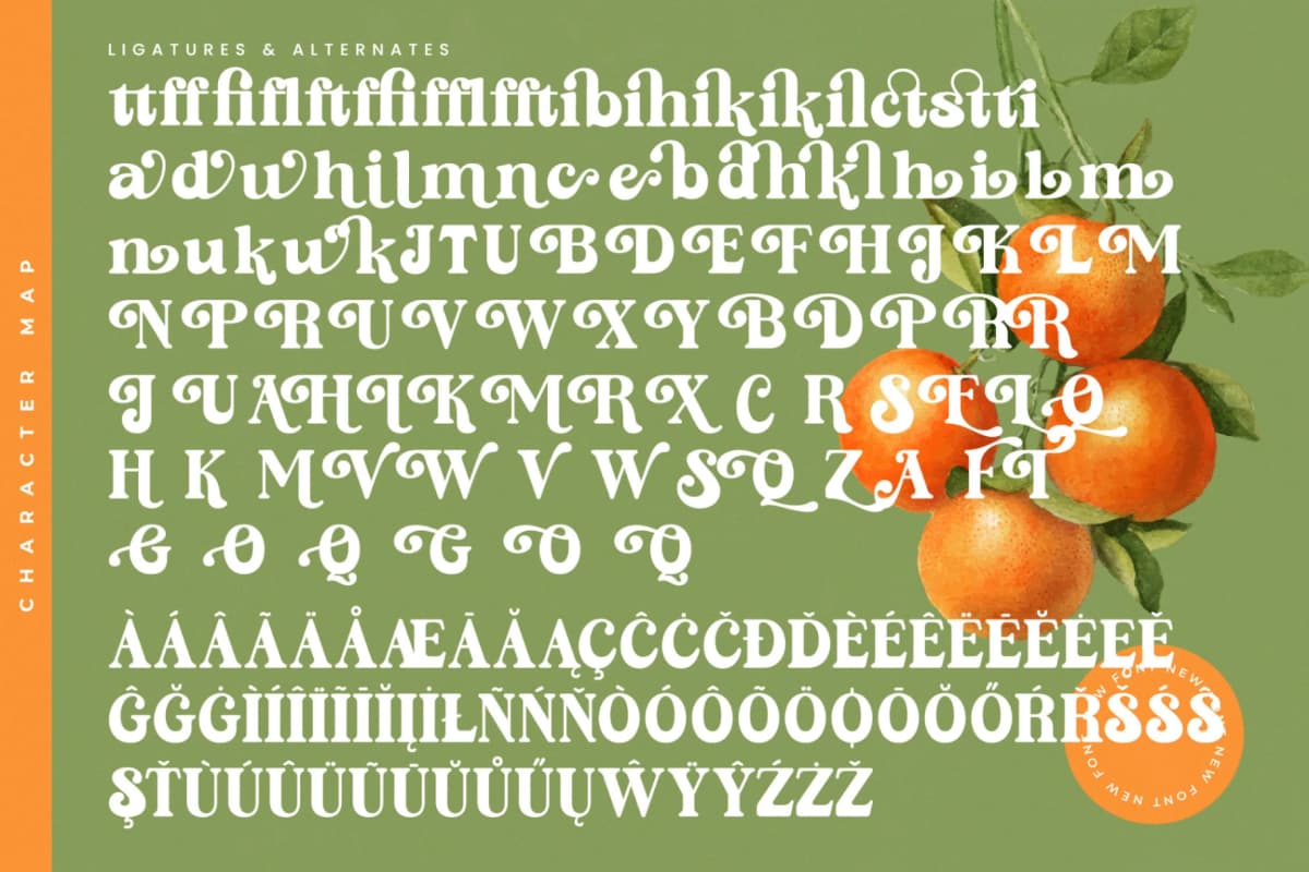 Sunday Ginger - New Vintage Serif Font font preview 18