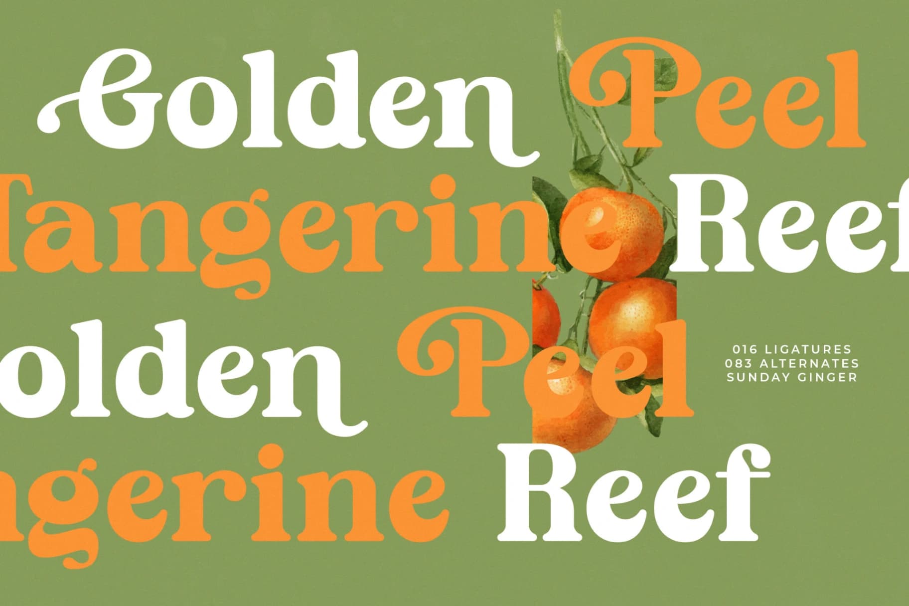 Preview 10 for Sunday Ginger - New Vintage Serif Font