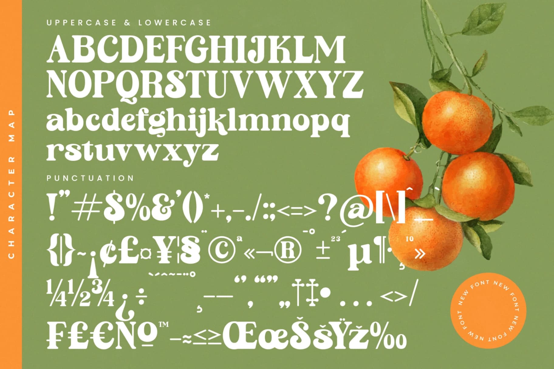 Preview 19 for Sunday Ginger - New Vintage Serif Font