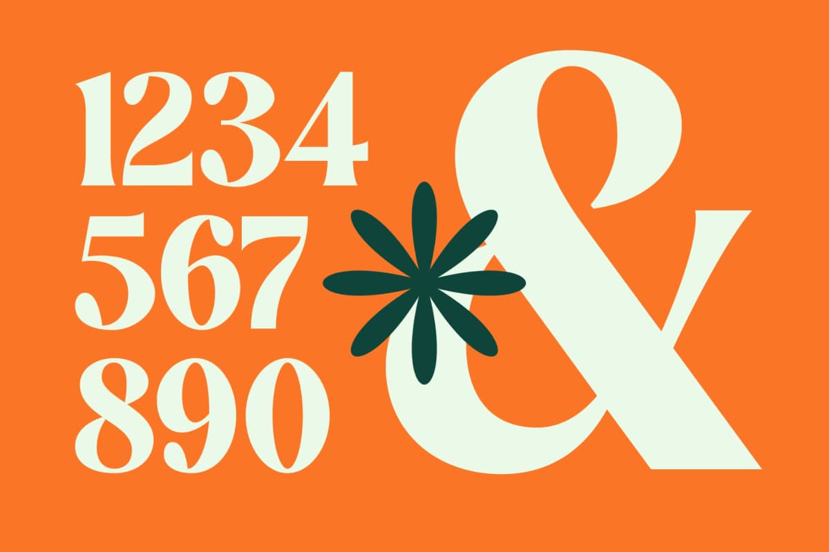 Myngo Bakery - Modern Bold Serif Font font preview 14