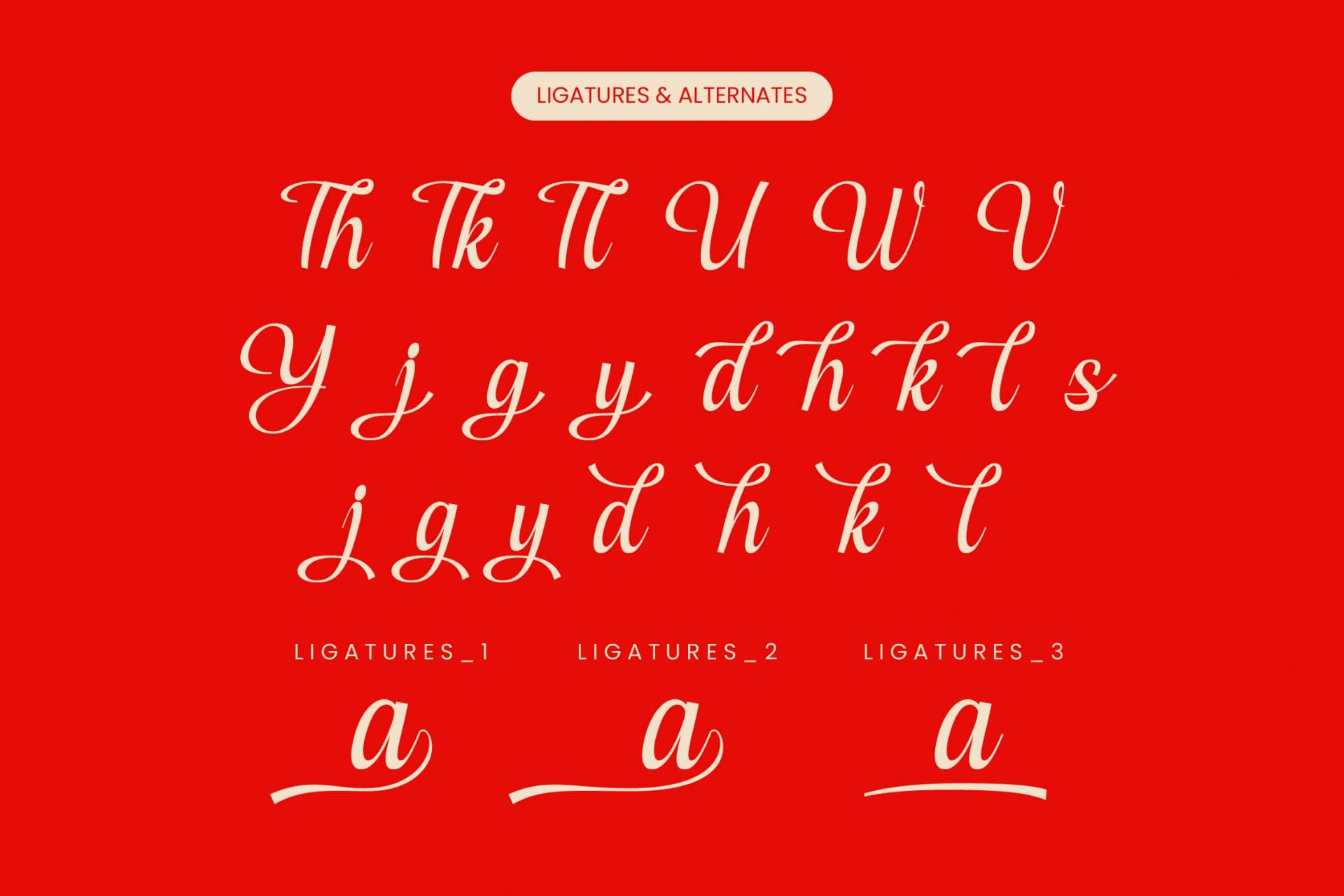 Preview 18 for Cerria Refresh - Elegant Script Font