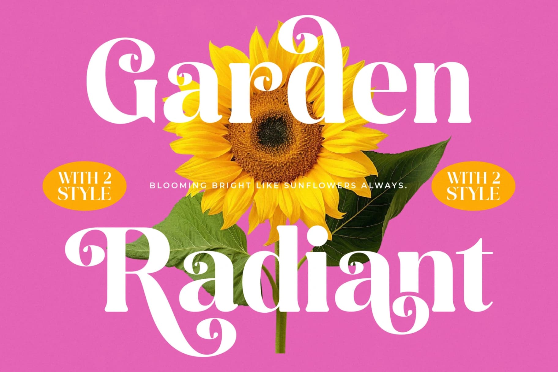 Preview 7 for Spring Rustic - New Alternate Serif Font