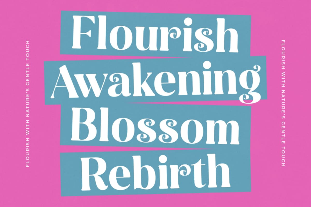 Spring Rustic - New Alternate Serif Font font preview 12