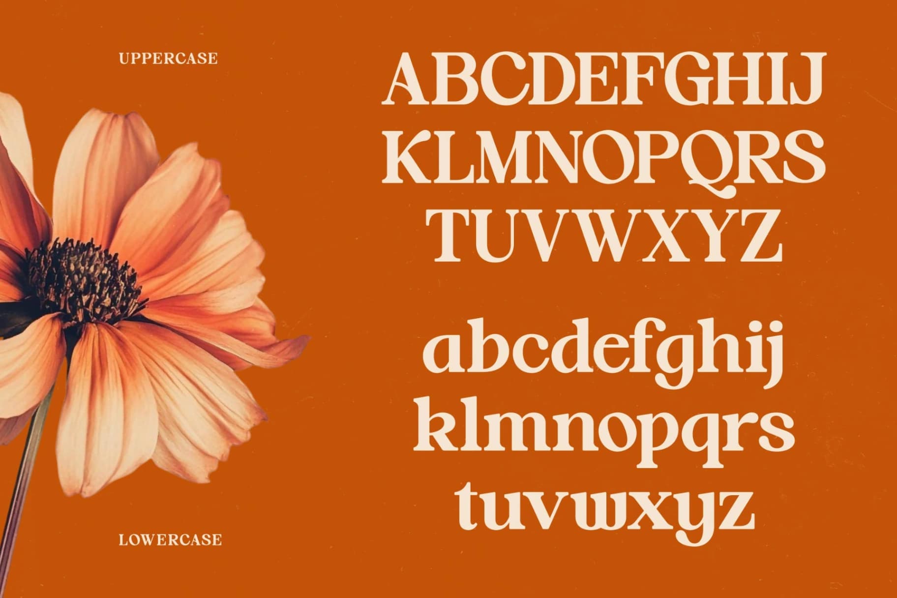 Preview 18 for Hot Caramel Delight - Bold Serif Font