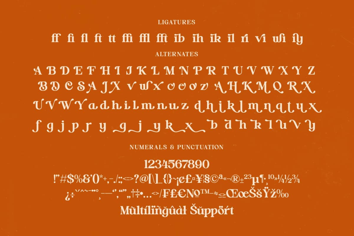 Preview 19 for Hot Caramel Delight - Bold Serif Font