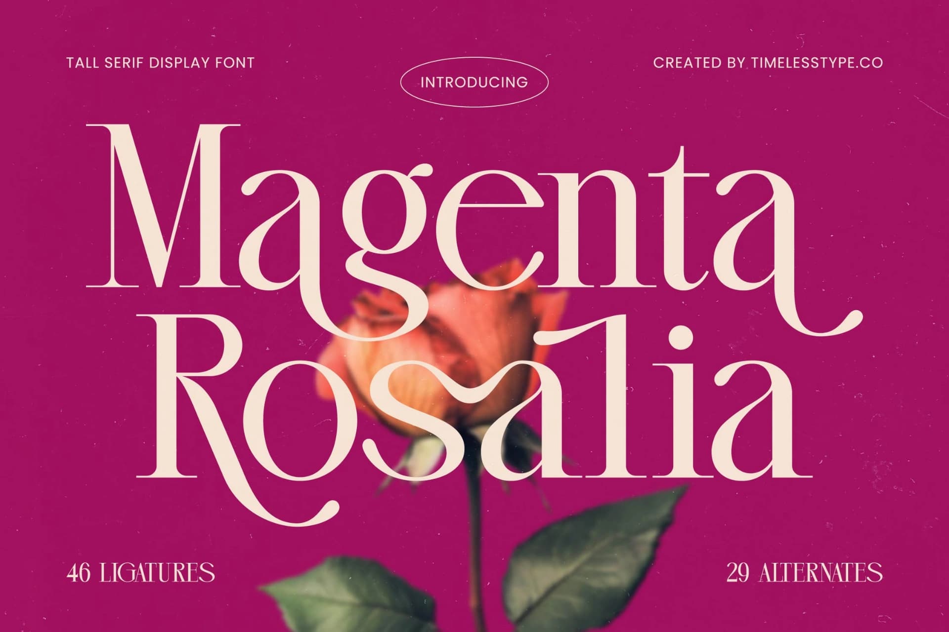Preview of Magenta Rosalia - Tall Serif Display Font font