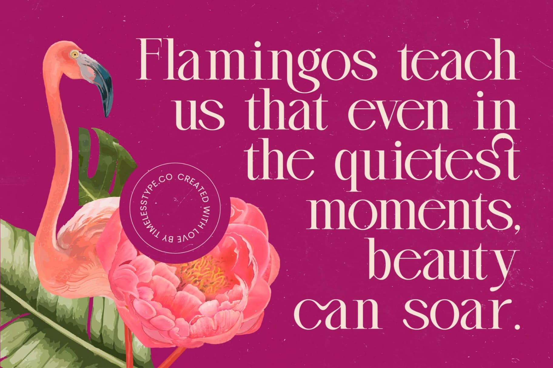 Preview 15 for Magenta Rosalia - Tall Serif Display Font