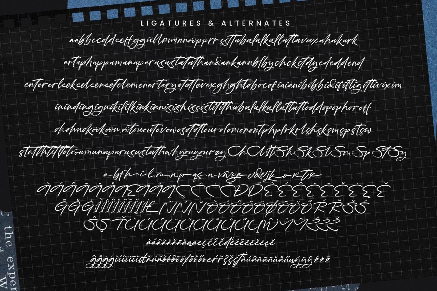 Preview 18 for Rituals Trailer - Modern Brush Script