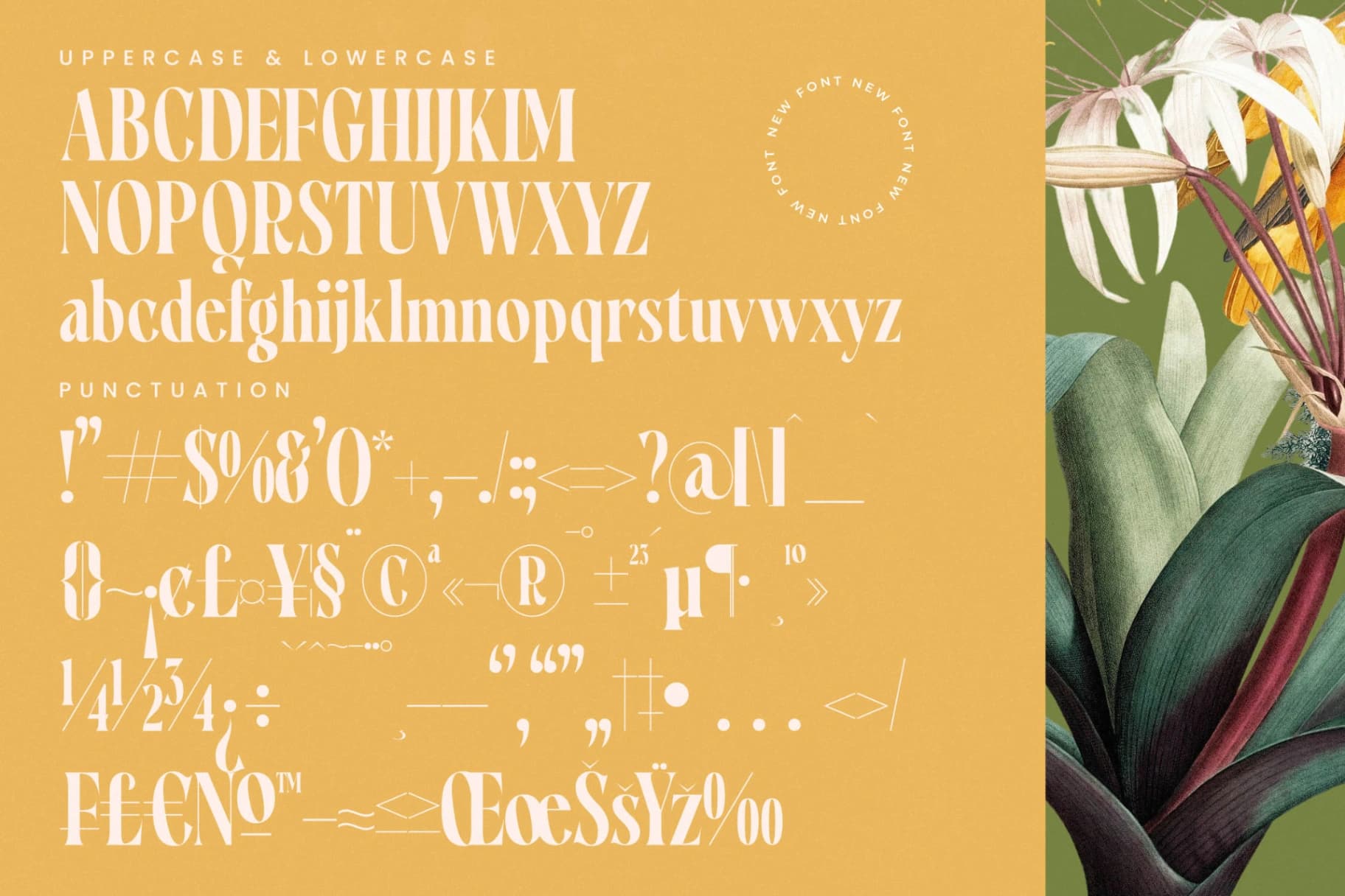 Preview 19 for Qastife - Modern Serif Font