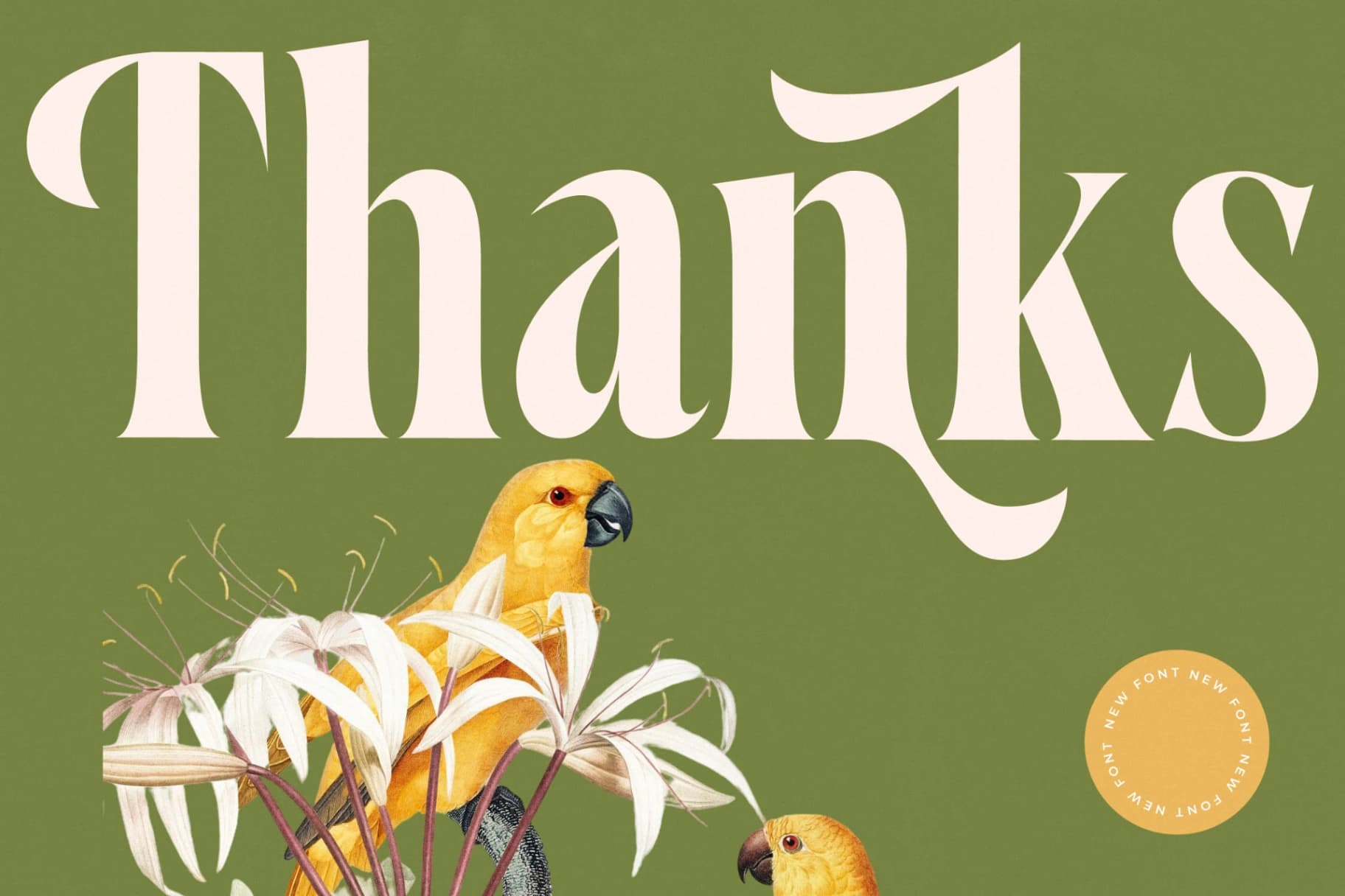 Preview 20 for Qastife - Modern Serif Font