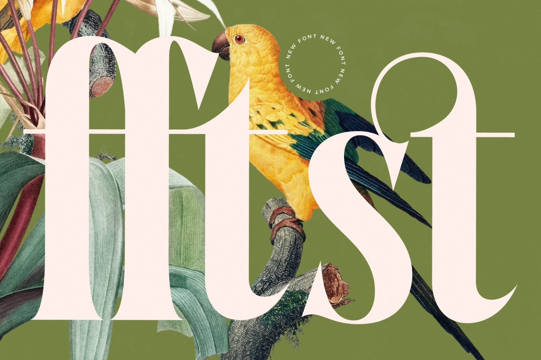 Preview 13 for Qastife - Modern Serif Font