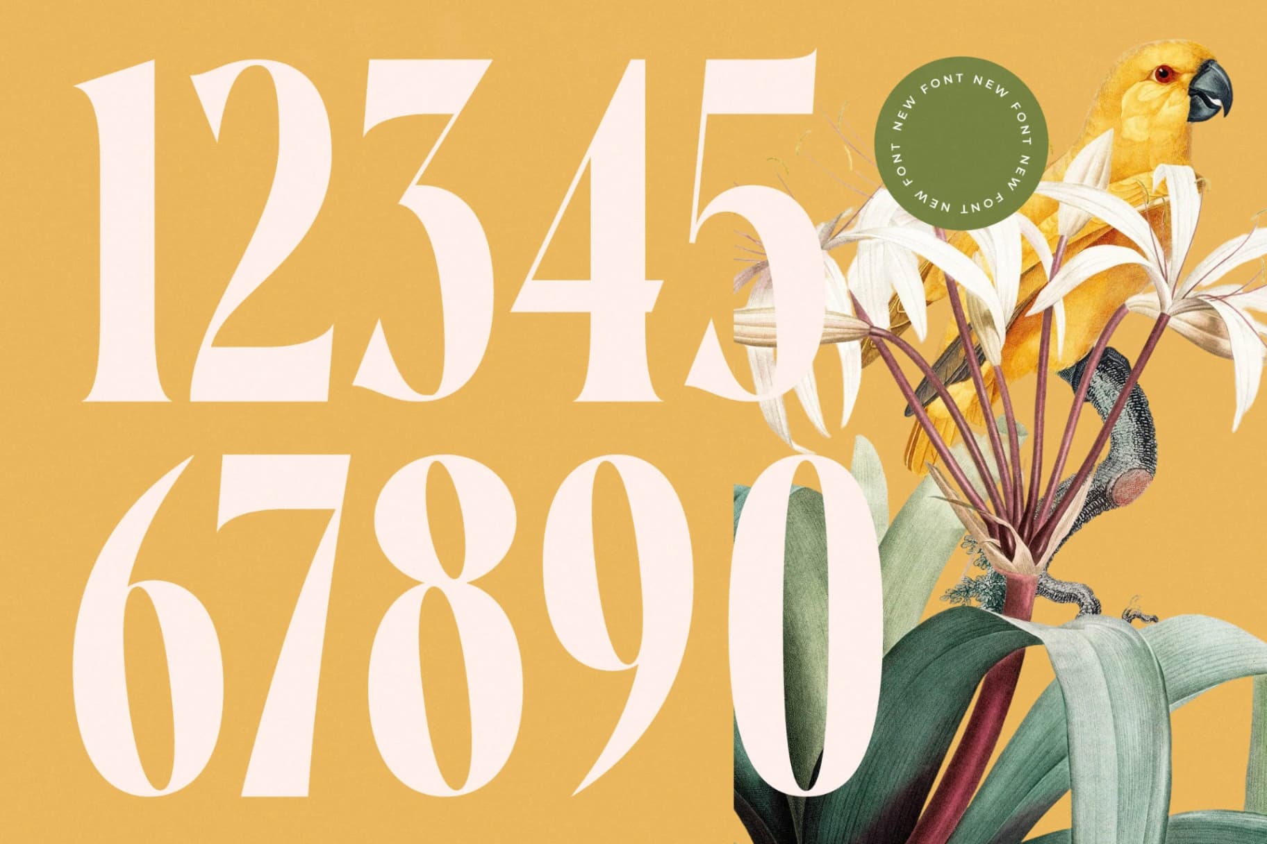Preview 8 for Qastife - Modern Serif Font