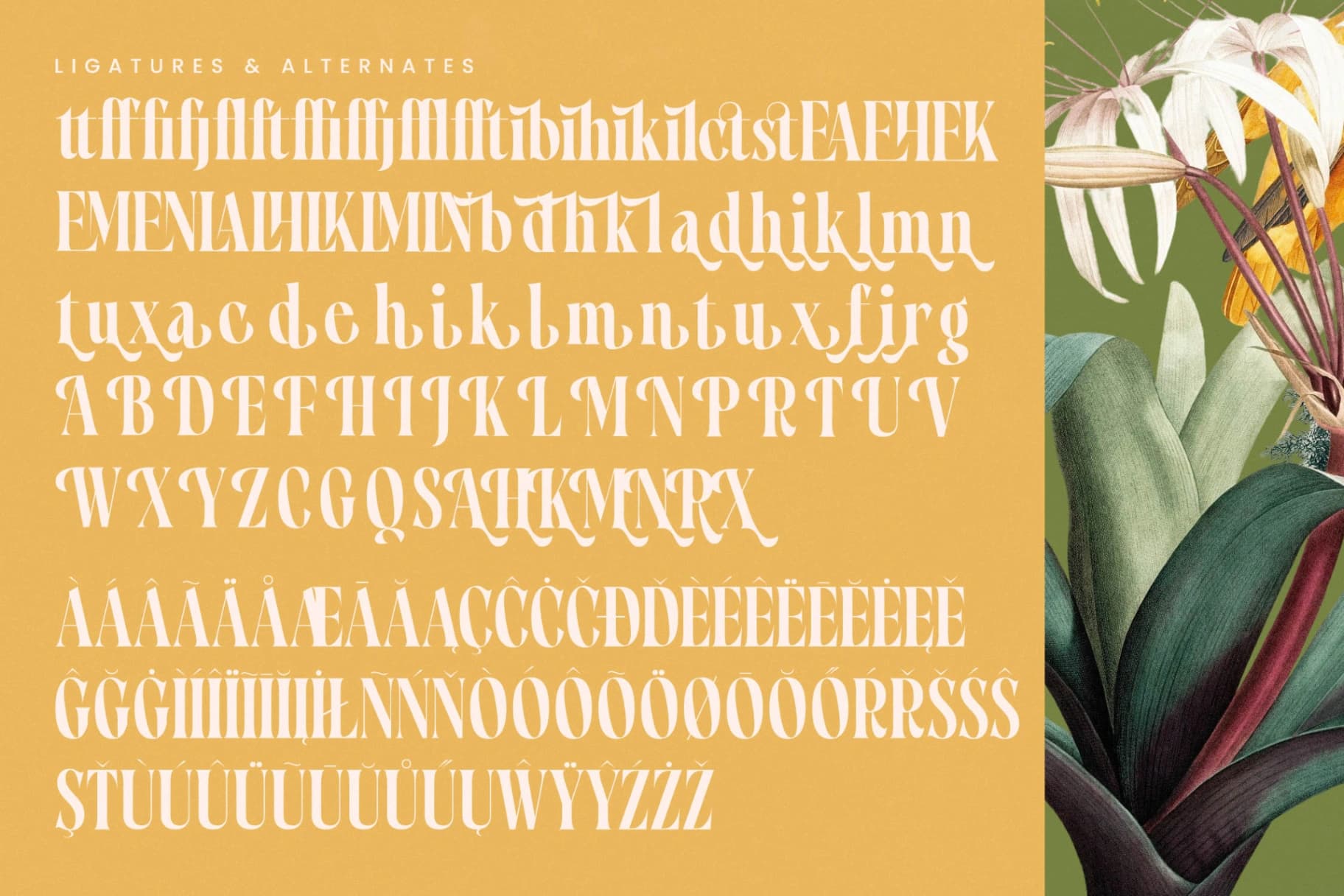 Preview 18 for Qastife - Modern Serif Font