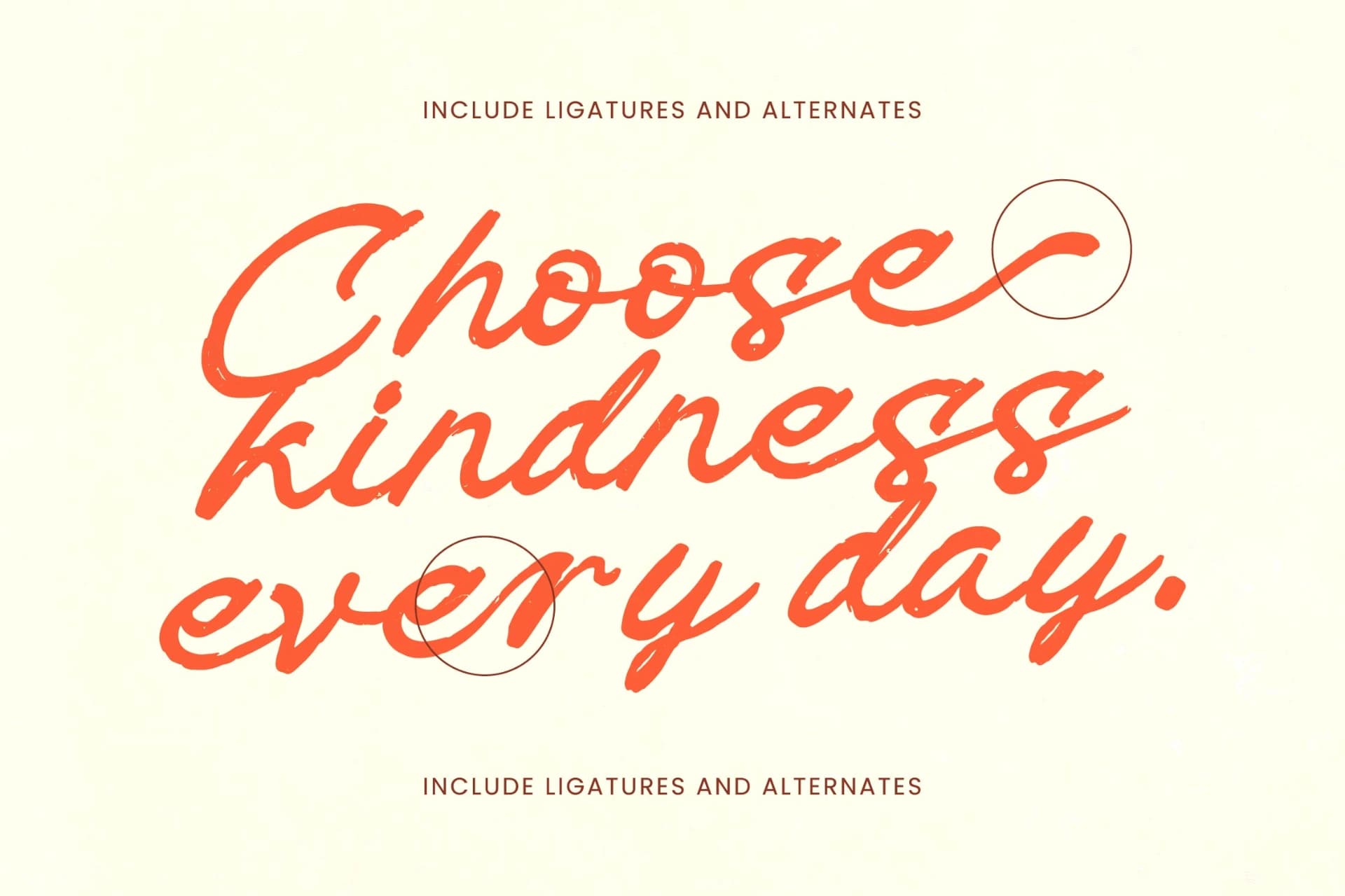 Preview 9 for Check Unite - Modern Brush Font