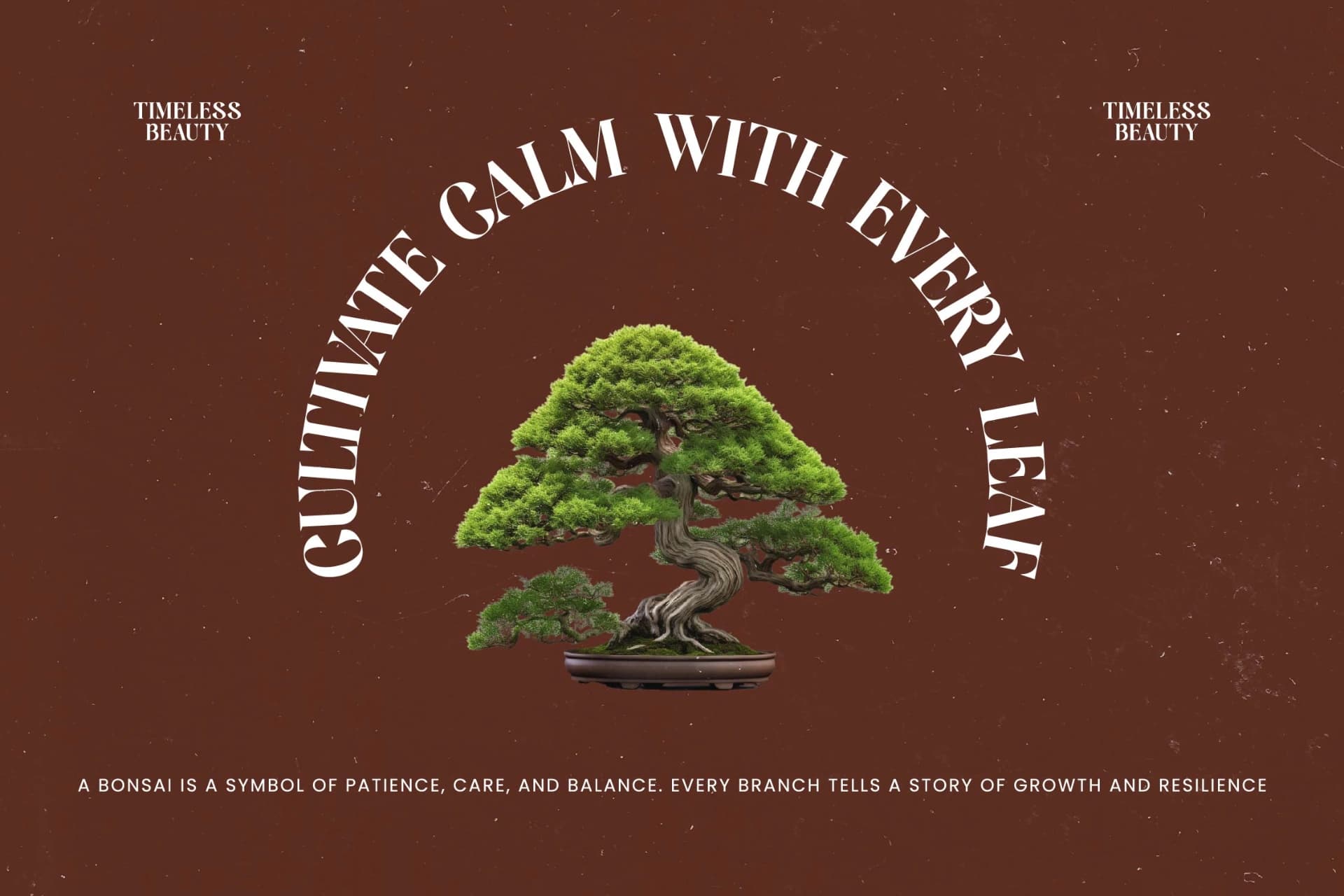 Preview 2 for Single Robusta - Bold Tall Serif Dislay Font