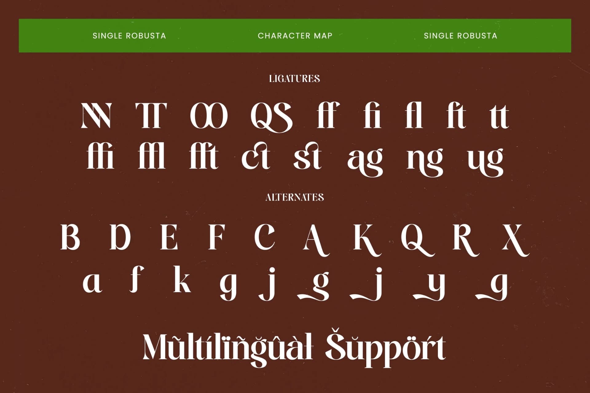 Preview 19 for Single Robusta - Bold Tall Serif Dislay Font