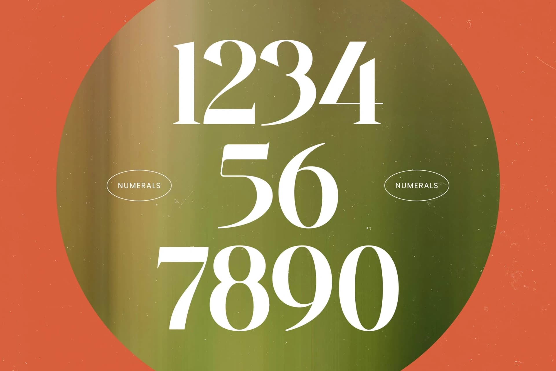 Preview 11 for Single Robusta - Bold Tall Serif Dislay Font