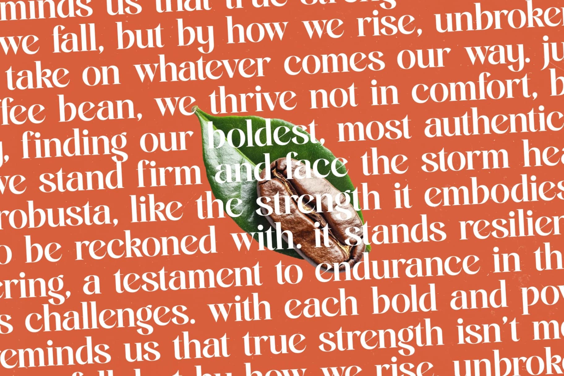 Preview 13 for Single Robusta - Bold Tall Serif Dislay Font