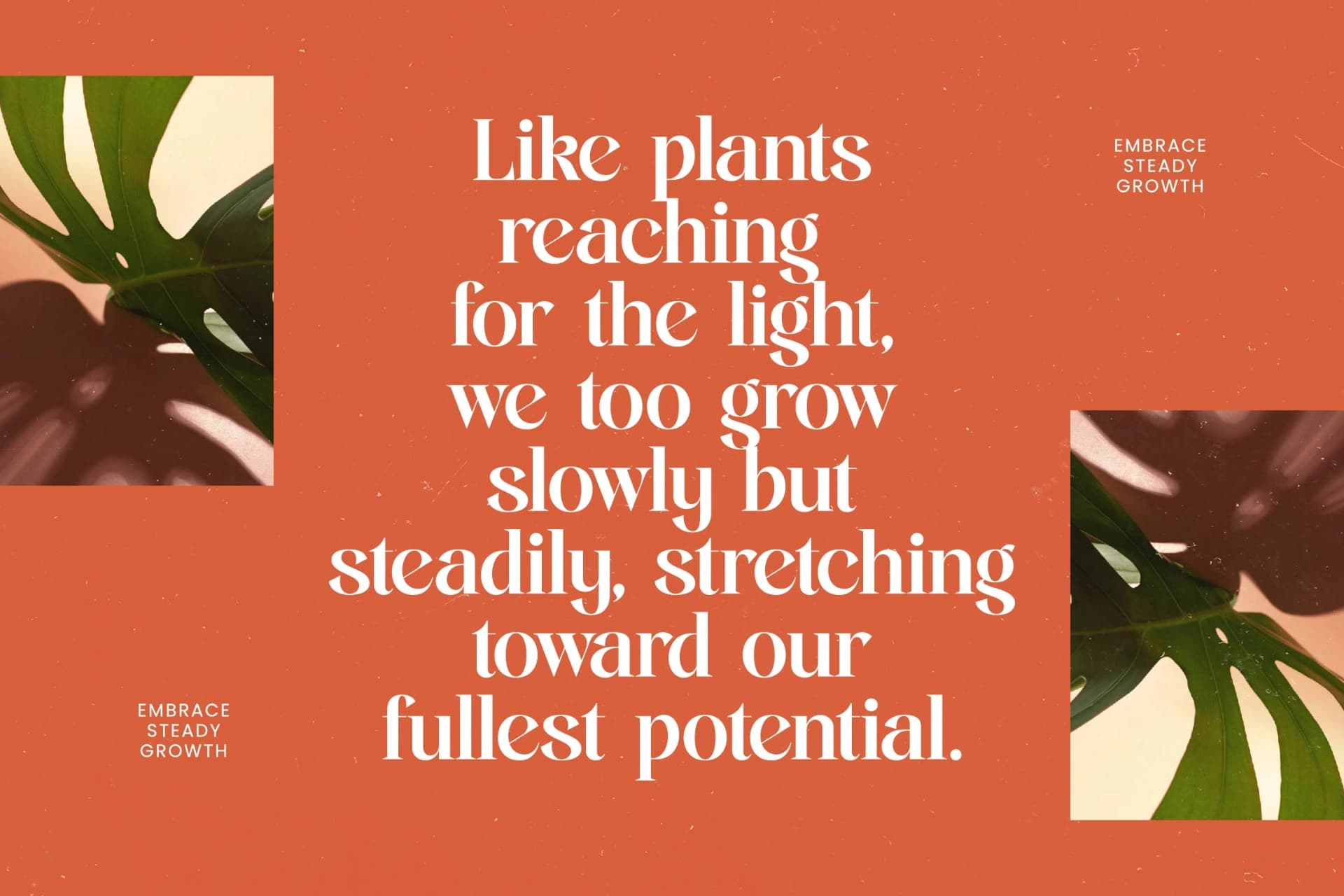 Preview 8 for Single Robusta - Bold Tall Serif Dislay Font