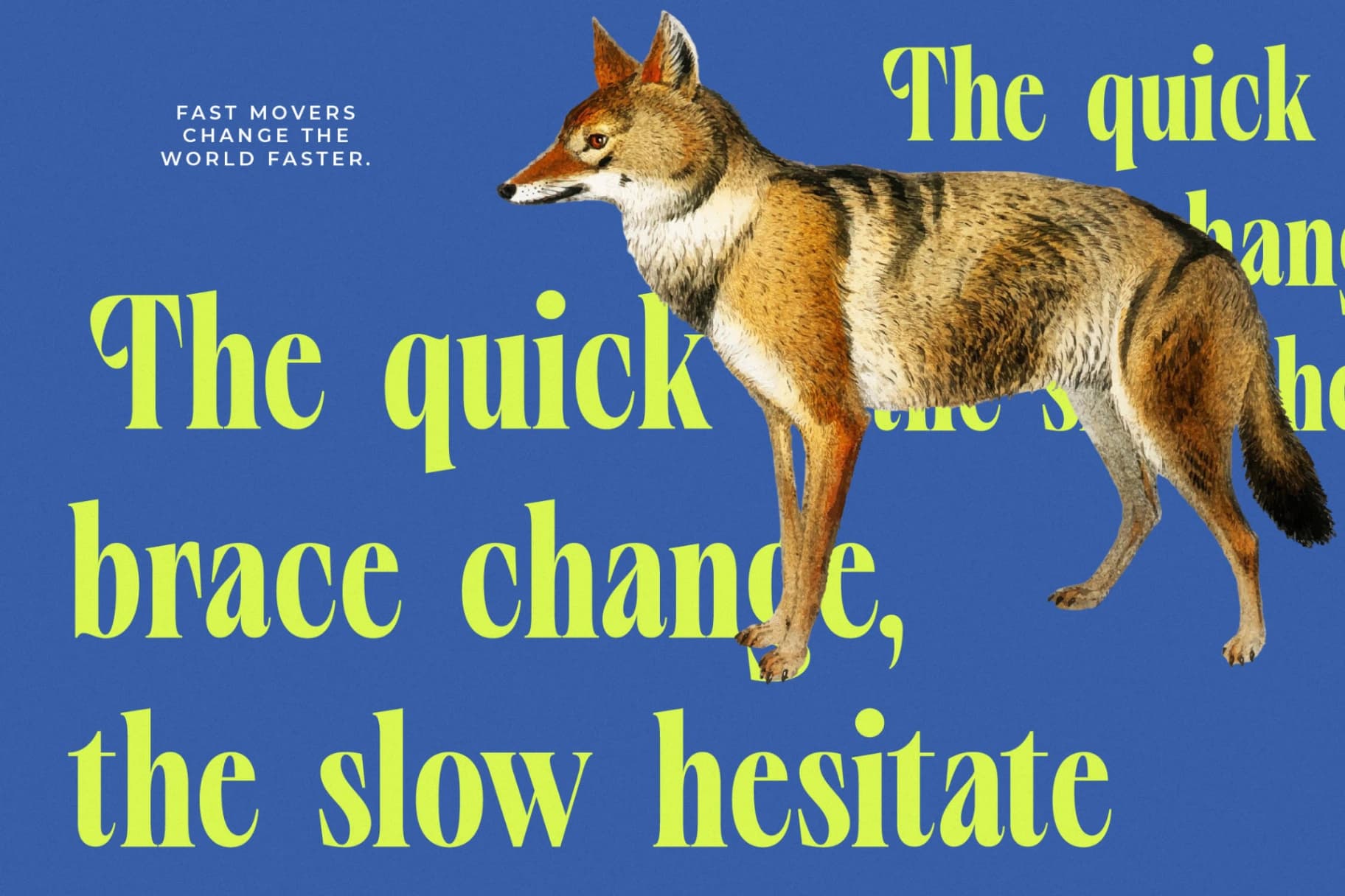Preview 7 for Vardent - Modern Serif Font