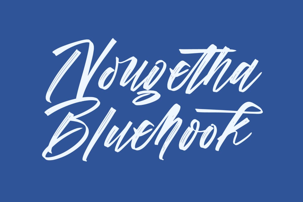 Vichellen Jordan - Modern Brush Font font preview 13
