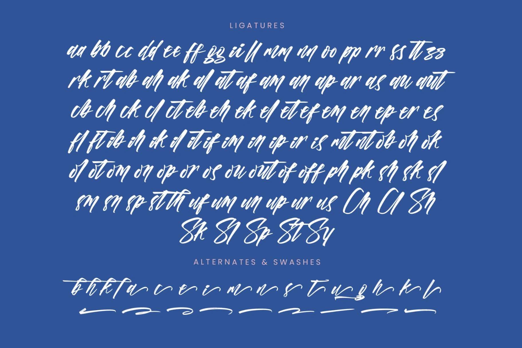 Preview 18 for Vichellen Jordan - Modern Brush Font