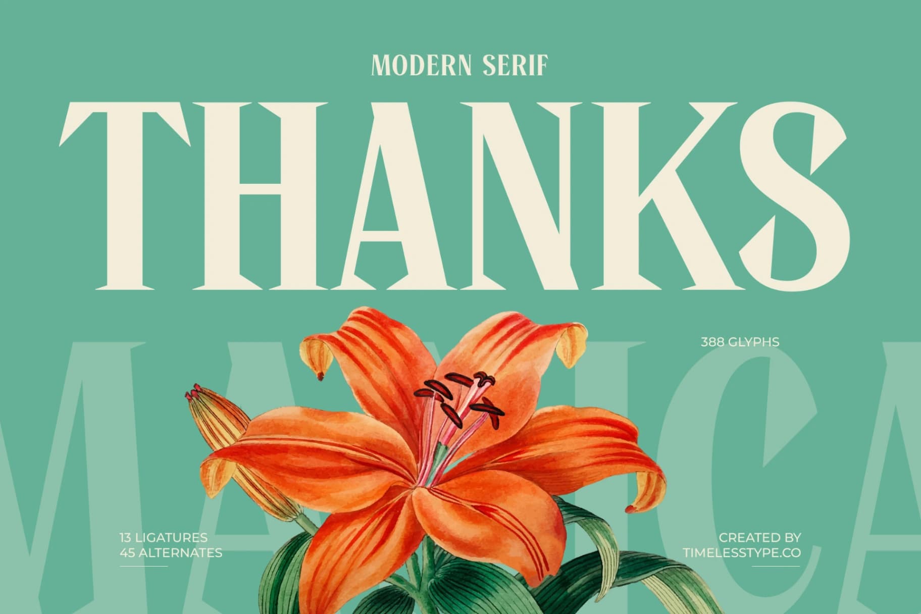Preview 20 for Manica - Modern Serif Font