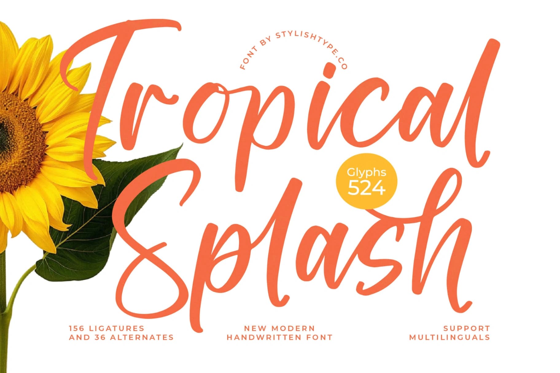 Preview of Tropical Splash - Modern Handwritten Font font