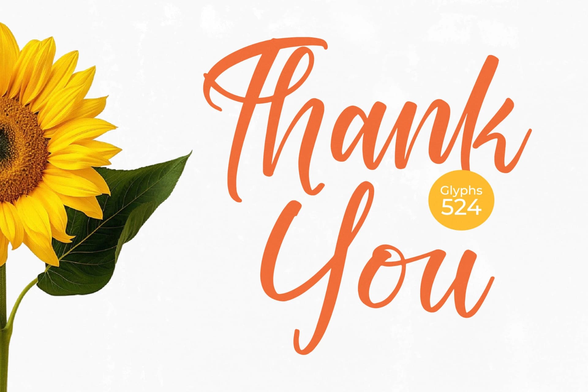 Preview 20 for Tropical Splash - Modern Handwritten Font
