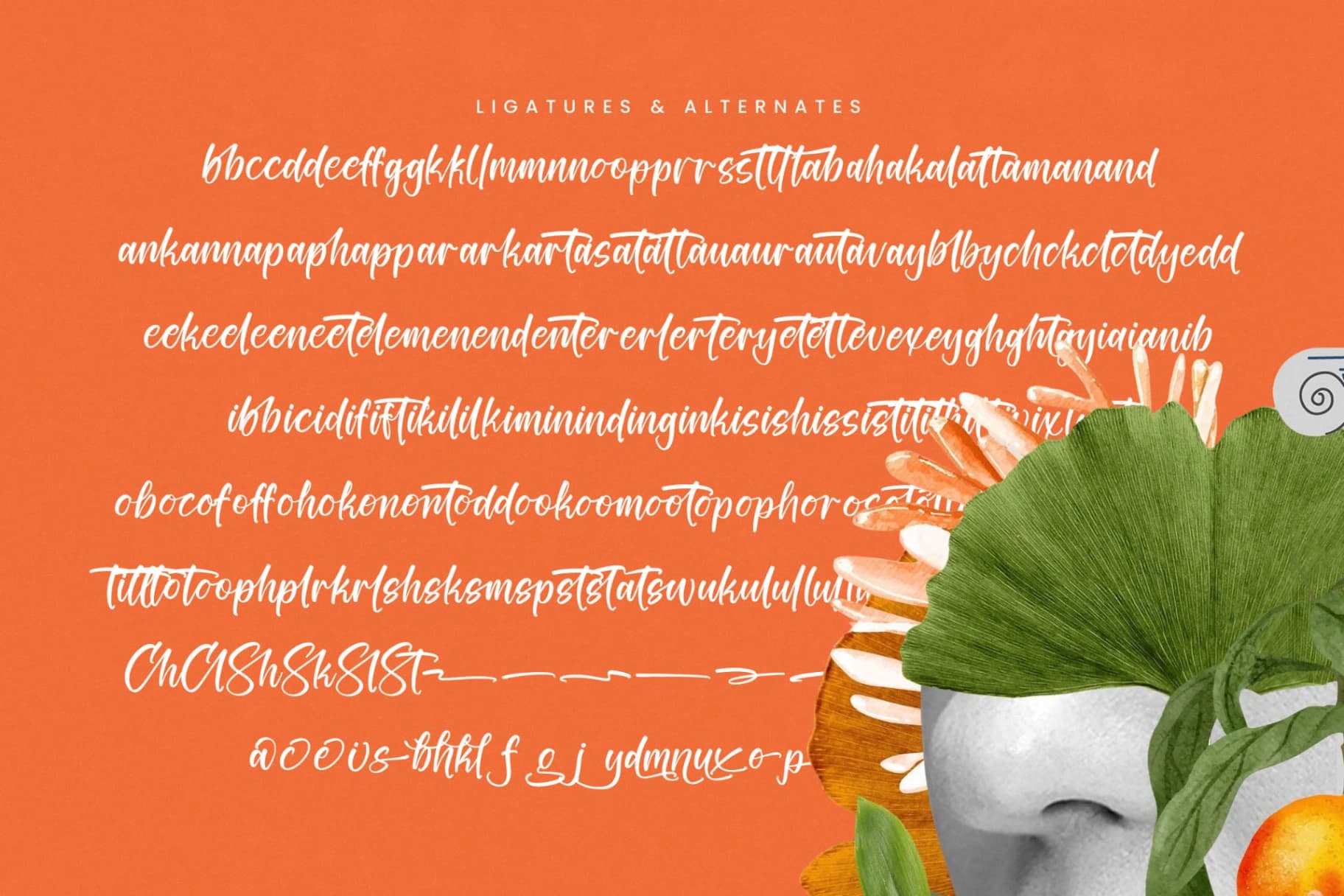 Preview 18 for Tropical Splash - Modern Handwritten Font