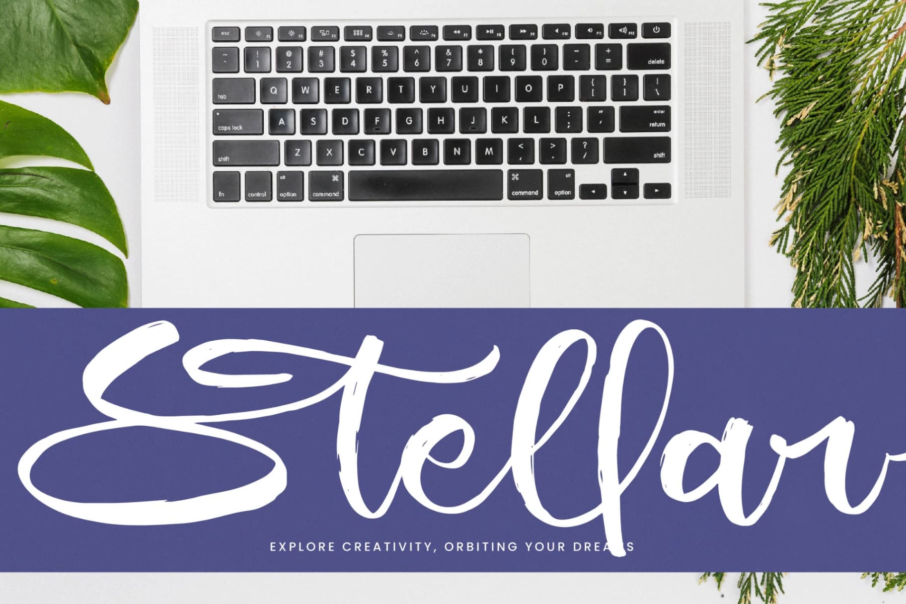 Preview 9 for Shiny Cottage - Modern Handbrush Script