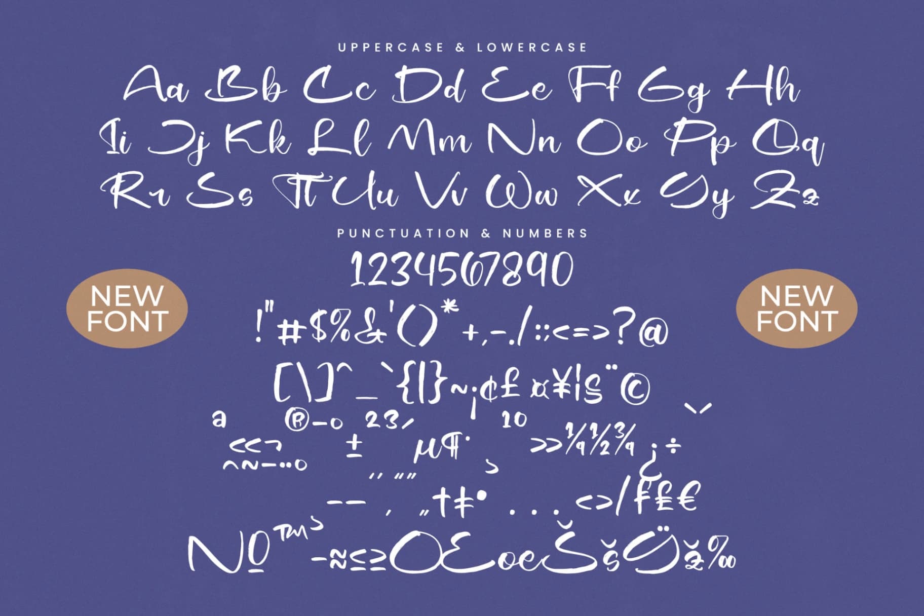 Preview 18 for Shiny Cottage - Modern Handbrush Script