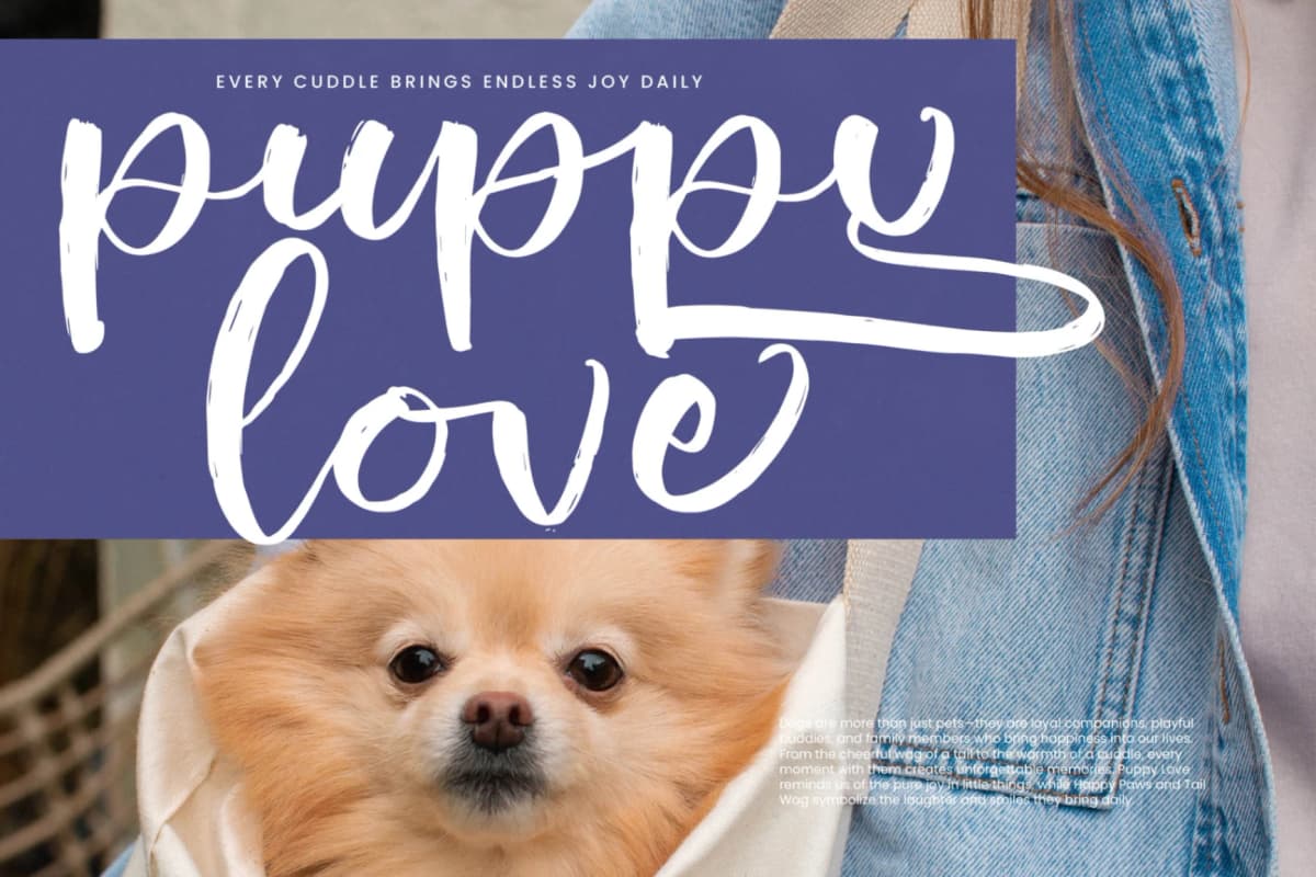 Shiny Cottage - Modern Handbrush Script font preview 11