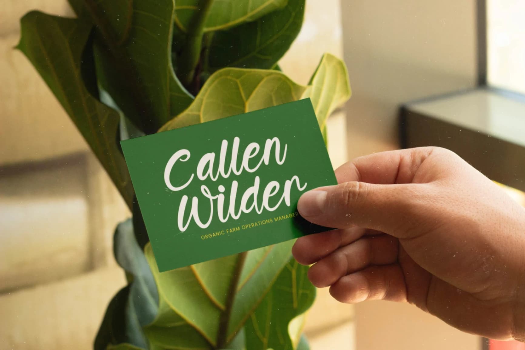 Preview 17 for Bumlay Otican - Bold Handwritten Font