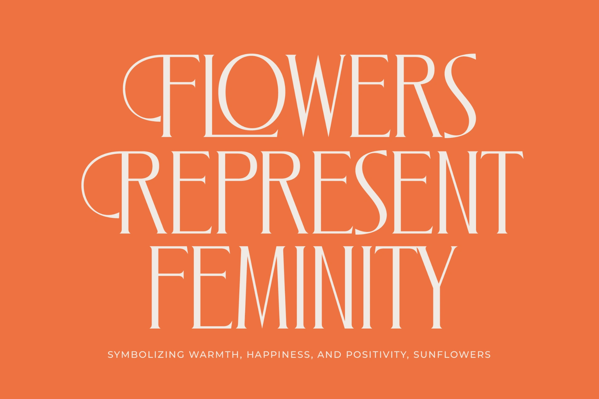 Preview 7 for Zamilah - Modern Serif Font