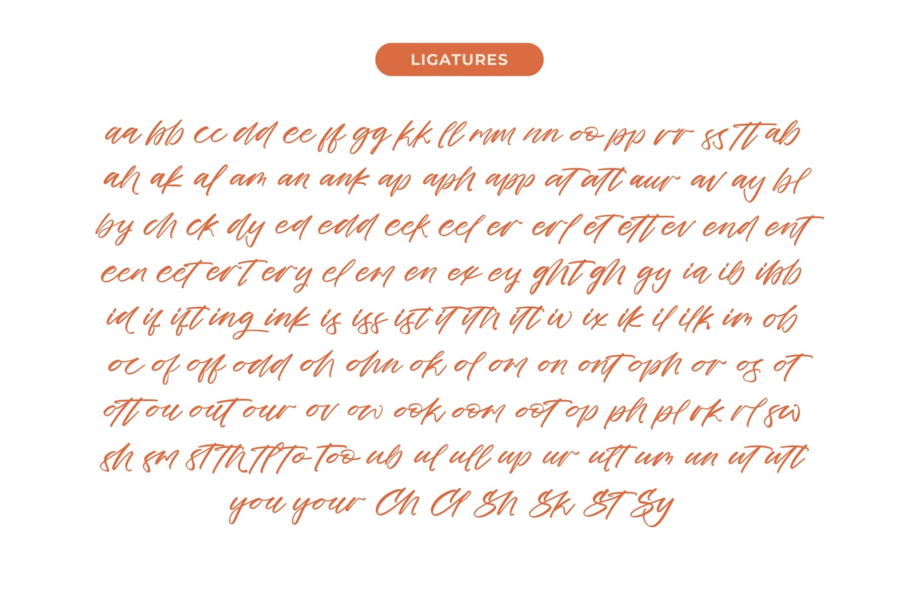 Preview 12 for Cocktail Bigoter - Modern Script Font