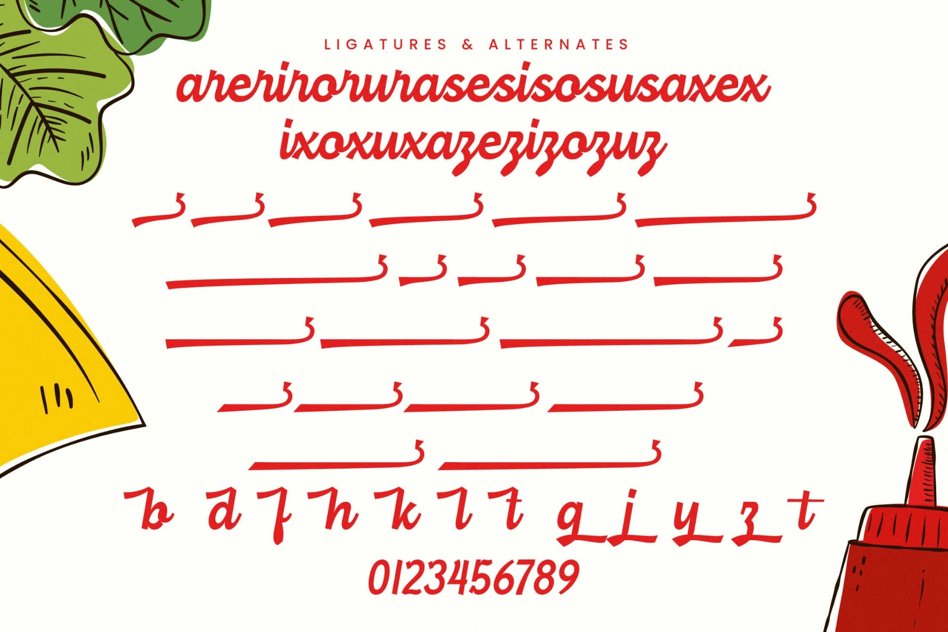 Preview 18 for Burger Magis - Modern Script Display