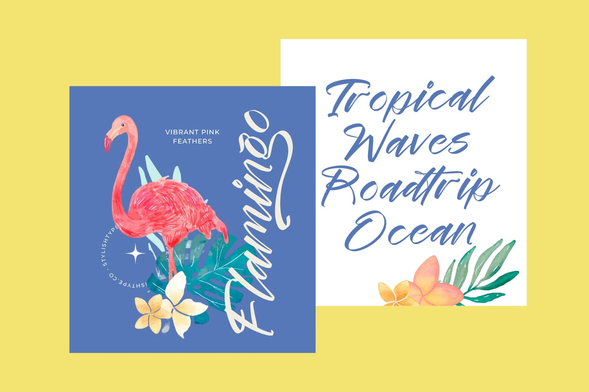 Preview 2 for Festival Routes - Modern Script Font