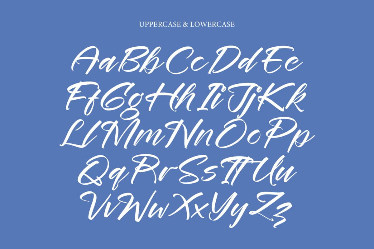 Preview 9 for Festival Routes - Modern Script Font