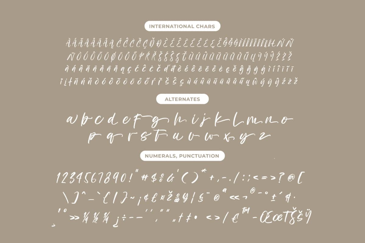 Bestovy Wisher - Modern Handbrush Font font preview 13