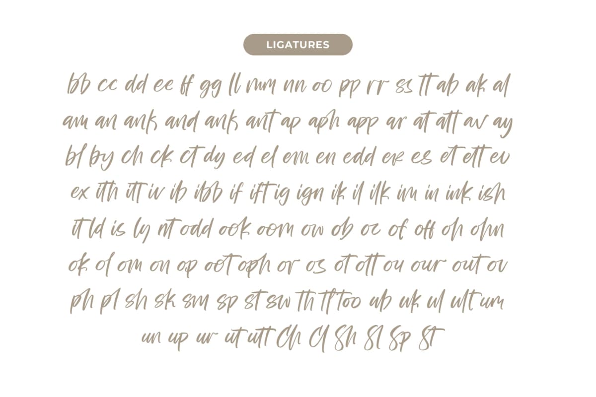 Bestovy Wisher - Modern Handbrush Font font preview 14