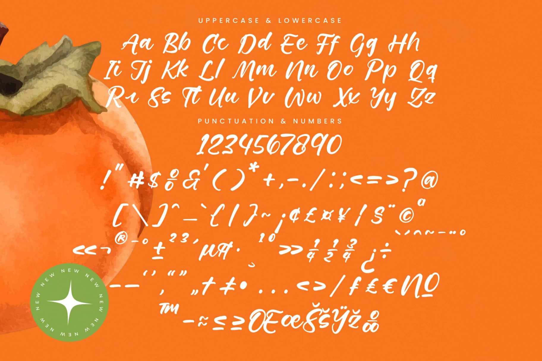 Preview 18 for Starfall Nights - New Modern Handbrush Script